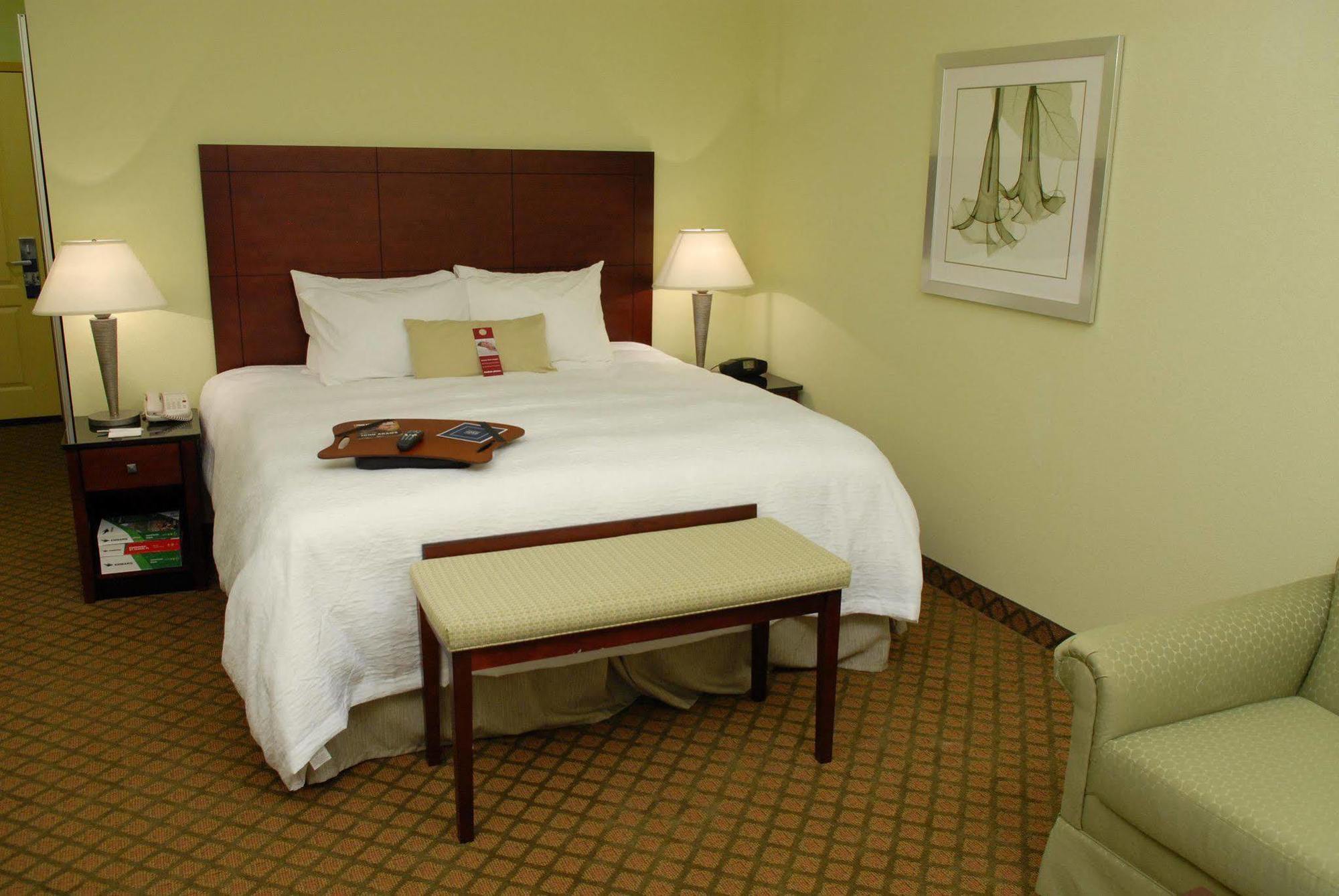 Hampton Inn & Suites Orlando-South Lake Buena Vista Kissimmee Værelse billede